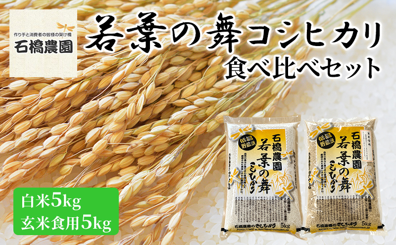 米 若葉の舞 コシヒカリ 白米5kg玄米食用5kg 食べ比べセット こしひかり お米 白米 玄米 セット 食べ比べ 精米 千葉 千葉県 低温保存