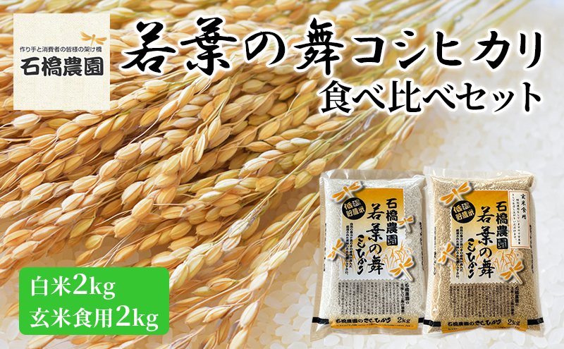 米 若葉の舞 コシヒカリ 白米2kg玄米食用2kg 食べ比べセット こしひかり お米 白米 玄米 セット 食べ比べ 精米 千葉 千葉県 低温保存