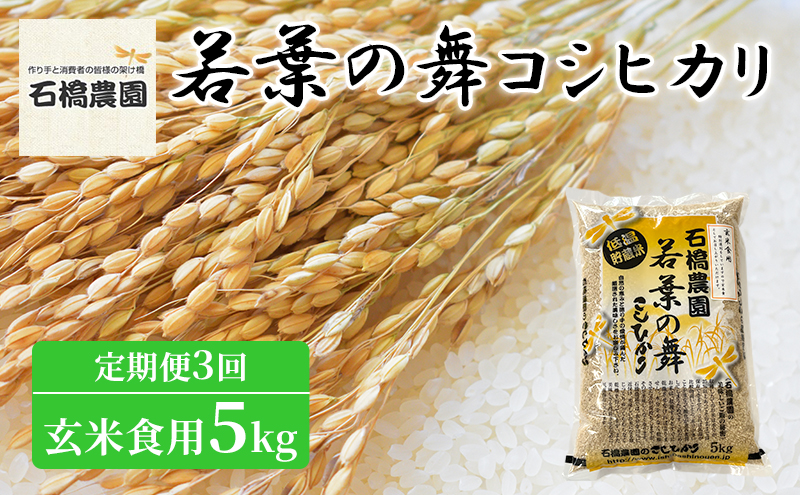 米 若葉の舞 コシヒカリ 玄米食用5kg 定期便3回 こしひかり お米 玄米 定期便 千葉 千葉県 低温保存