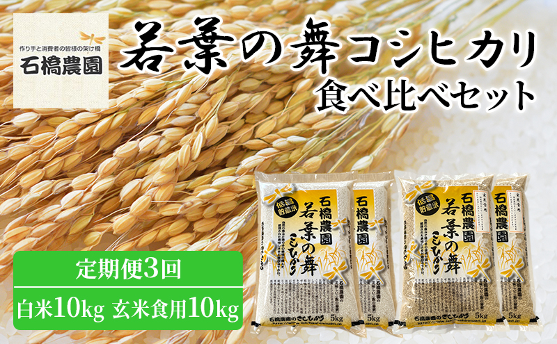 米 若葉の舞 コシヒカリ 白米10kg玄米食用10kg 食べ比べセット 定期便3回 こしひかり お米 白米 玄米 セット 食べ比べ 定期便 精米 千葉 千葉県 低温保存