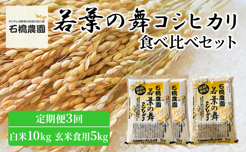 米 若葉の舞 コシヒカリ 白米10kg玄米食用5kg 食べ比べセット 定期便3回 こしひかり お米 白米 玄米 セット 食べ比べ 定期便 精米 千葉 千葉県 低温保存