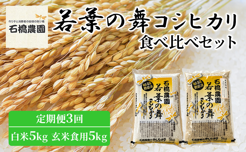 米 若葉の舞 コシヒカリ 白米5kg玄米食用5kg 食べ比べセット 定期便3回 こしひかり お米 白米 玄米 セット 食べ比べ 定期便 精米 千葉 千葉県 低温保存