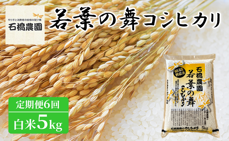 米 若葉の舞 コシヒカリ 白米5kg 定期便6回 こしひかり お米 白米 定期便 精米 千葉 千葉県 低温保存