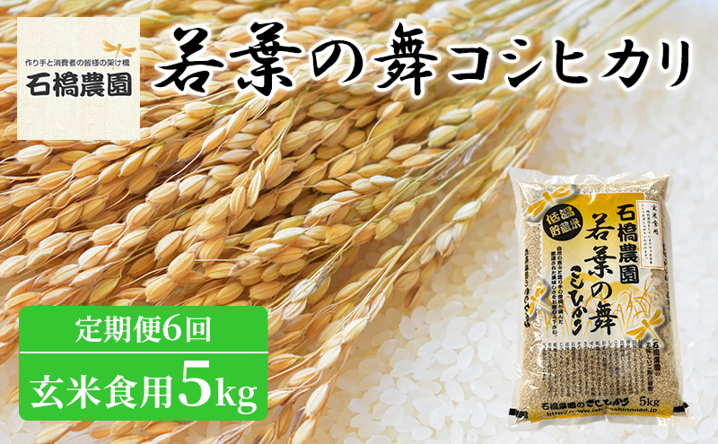 米 若葉の舞 コシヒカリ 玄米食用5kg 定期便6回 こしひかり お米 玄米 定期便 千葉 千葉県 低温保存