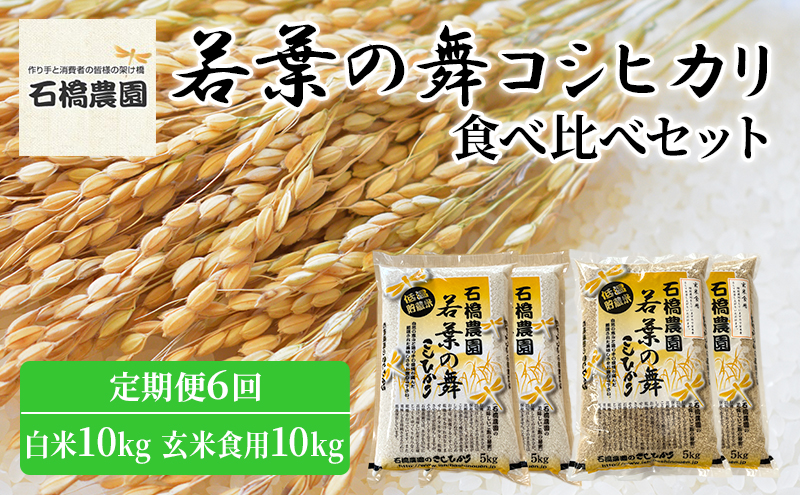 米 若葉の舞 コシヒカリ 白米10kg玄米食用10kg 食べ比べセット 定期便6回 こしひかり お米 白米 玄米 セット 食べ比べ 定期便 精米 千葉 千葉県 低温保存