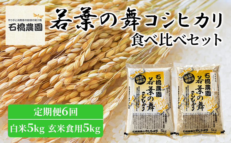 米 若葉の舞 コシヒカリ 白米5kg玄米食用5kg 食べ比べセット 定期便6回 こしひかり お米 白米 玄米 セット 食べ比べ 定期便 精米 千葉 千葉県 低温保存