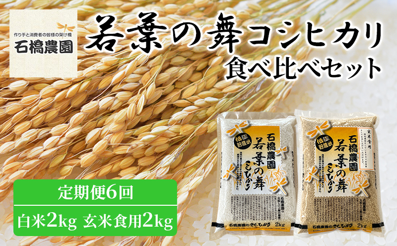 米 若葉の舞 コシヒカリ 白米2kg玄米食用2kg 食べ比べセット 定期便6回 こしひかり お米 白米 玄米 セット 食べ比べ 定期便 精米 千葉 千葉県 低温保存