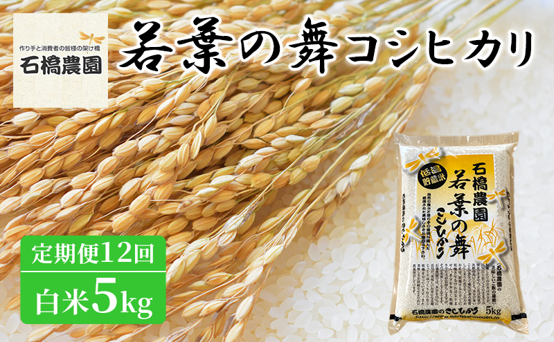 米 若葉の舞 コシヒカリ 白米5kg 定期便12回 こしひかり お米 白米 定期便 精米 千葉 千葉県 低温保存