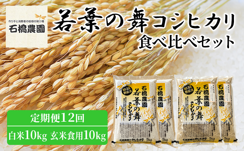 米 若葉の舞 コシヒカリ 白米10kg玄米食用10kg 食べ比べセット 定期便12回 こしひかり お米 白米 玄米 セット 食べ比べ 定期便 精米 千葉 千葉県 低温保存