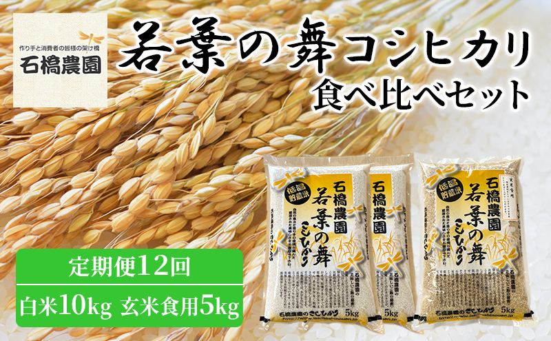 米 若葉の舞 コシヒカリ 白米10kg玄米食用5kg 食べ比べセット 定期便12回 こしひかり お米 白米 玄米 セット 食べ比べ 定期便 精米 千葉 千葉県 低温保存