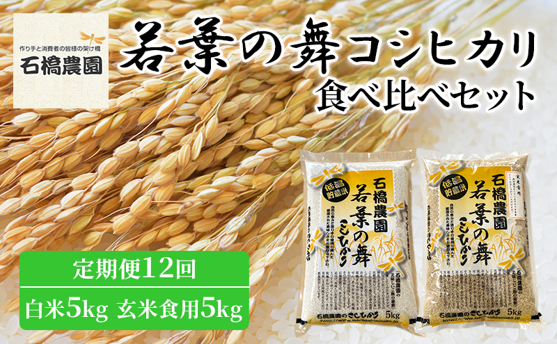 米 若葉の舞 コシヒカリ 白米5kg玄米食用5kg 食べ比べセット 定期便12回 こしひかり お米 白米 玄米 セット 食べ比べ 定期便 精米 千葉 千葉県 低温保存