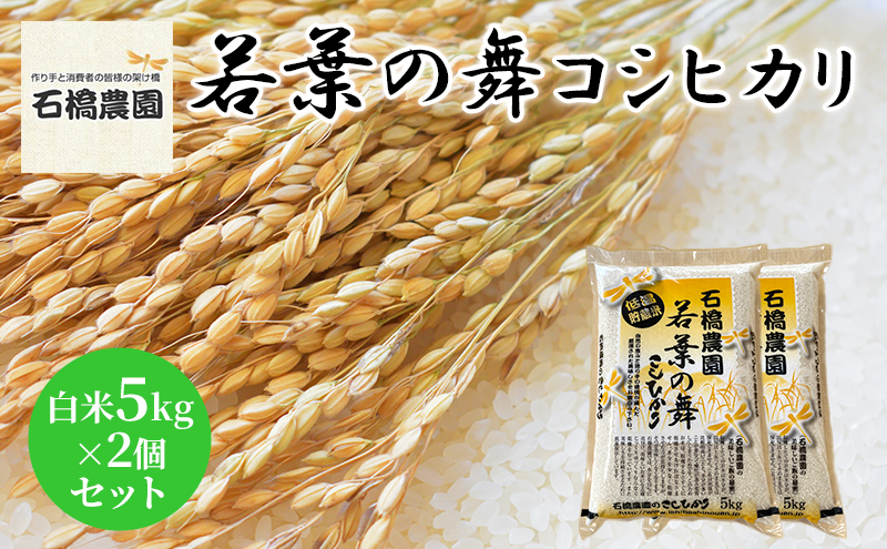 米 若葉の舞 コシヒカリ 白米5kg×2個セット こしひかり セット お米 白米 精米 千葉 千葉県 低温保存