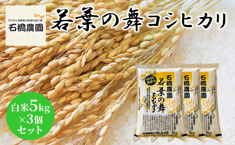 米 若葉の舞 コシヒカリ 白米5kg×3個セット こしひかり セット お米 白米 精米 千葉 千葉県 低温保存