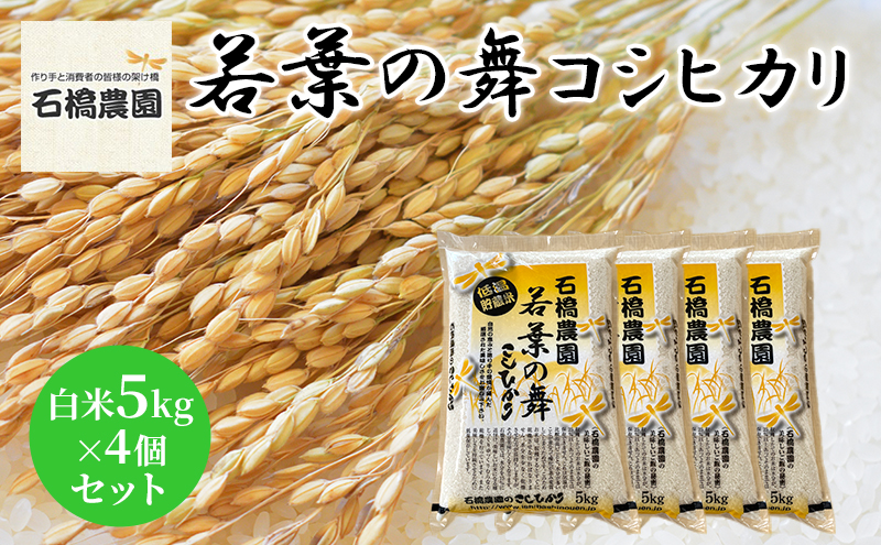 米 若葉の舞 コシヒカリ 白米5kg×4個セット こしひかり セット お米 白米 精米 千葉 千葉県 低温保存