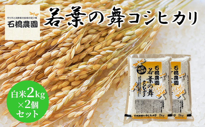 米 若葉の舞 コシヒカリ 白米2kg×2個セット こしひかり セット お米 白米 精米 千葉 千葉県 低温保存