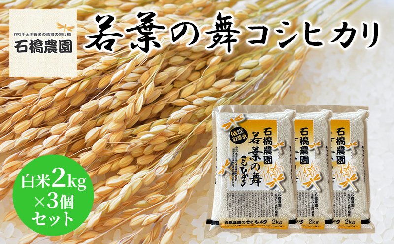 米 若葉の舞 コシヒカリ 白米2kg×3個セット こしひかり セット お米 白米 精米 千葉 千葉県 低温保存