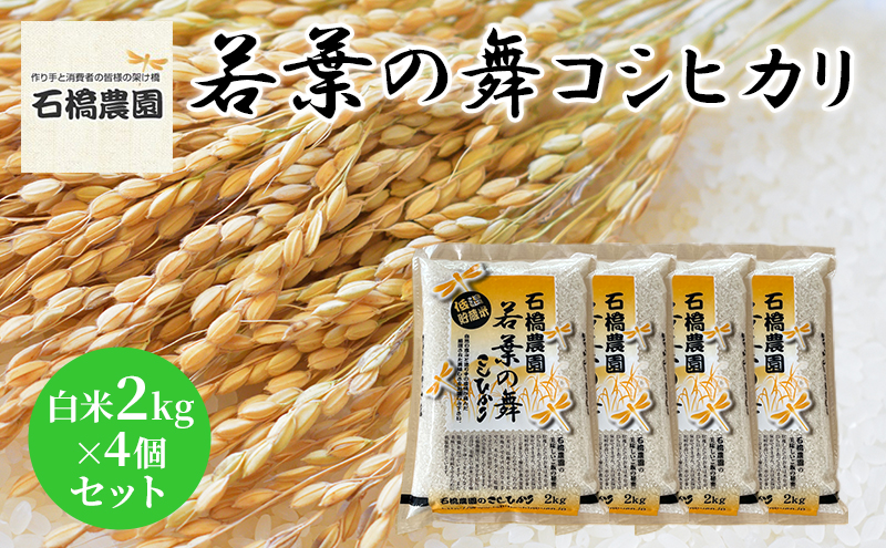 米 若葉の舞 コシヒカリ 白米2kg×4個セット こしひかり セット お米 白米 精米 千葉 千葉県 低温保存