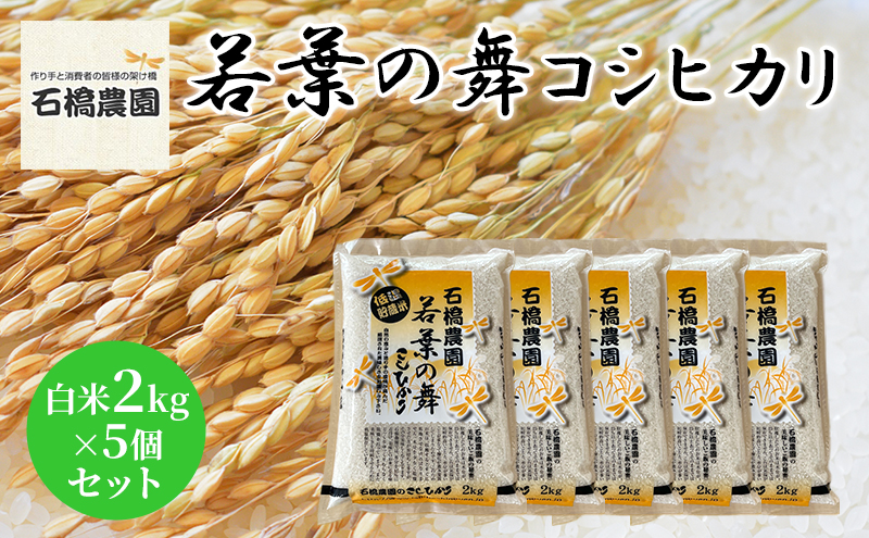 米 若葉の舞 コシヒカリ 白米2kg×5個セット こしひかり セット お米 白米 精米 千葉 千葉県 低温保存