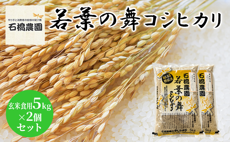 米 若葉の舞 コシヒカリ 玄米食用5kg×2個セット こしひかり セット お米 玄米 千葉 千葉県 低温保存