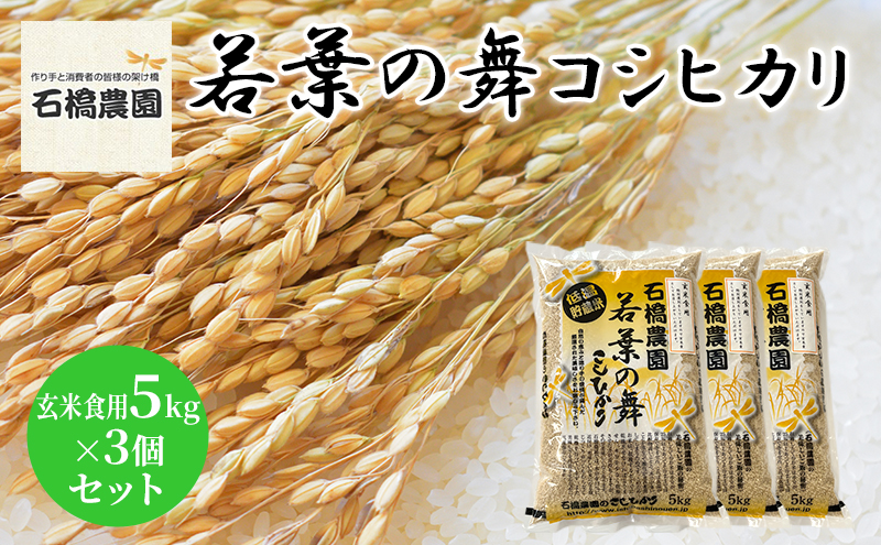 米 若葉の舞 コシヒカリ 玄米食用5kg×3個セット こしひかり セット お米 玄米 千葉 千葉県 低温保存