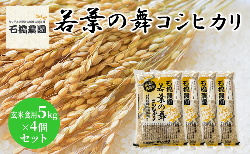 米 若葉の舞 コシヒカリ 玄米食用5kg×4個セット こしひかり セット お米 玄米 千葉 千葉県 低温保存