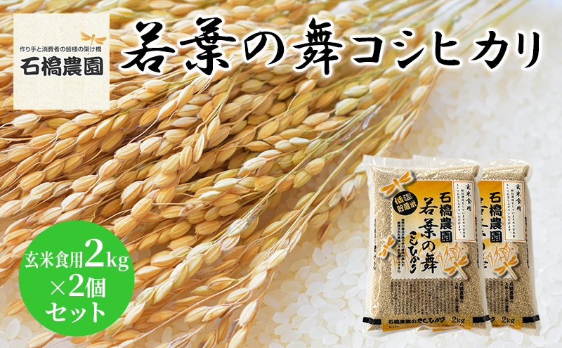 米 若葉の舞 コシヒカリ 玄米食用2kg×2個セット こしひかり セット お米 玄米 千葉 千葉県 低温保存