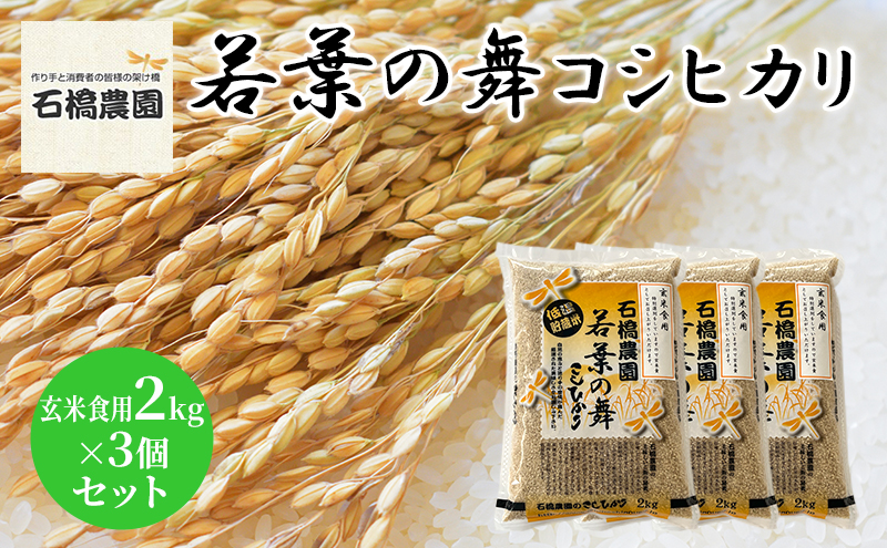 米 若葉の舞 コシヒカリ 玄米食用2kg×3個セット こしひかり セット お米 玄米 千葉 千葉県 低温保存