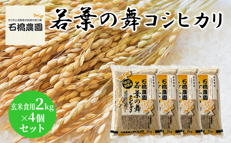 米 若葉の舞 コシヒカリ 玄米食用2kg×4個セット こしひかり セット お米 玄米 千葉 千葉県 低温保存