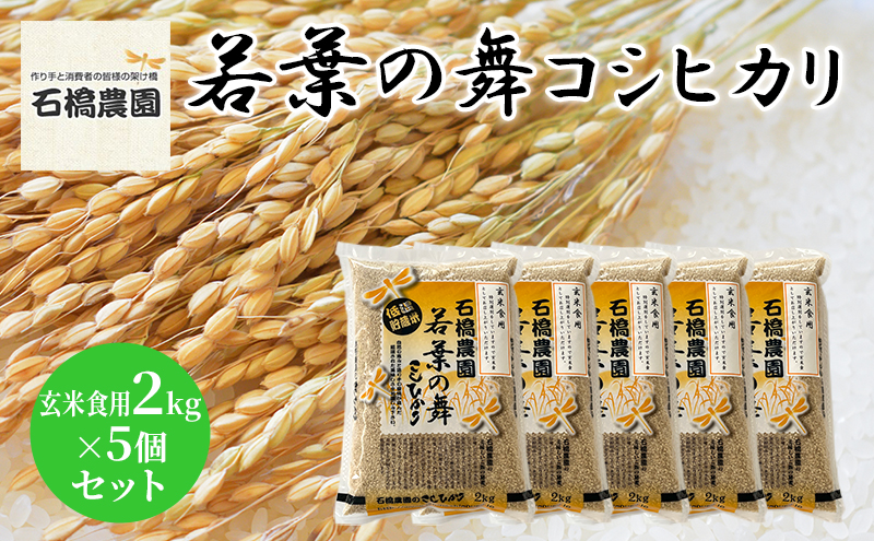 米 若葉の舞 コシヒカリ 玄米食用2kg×5個セット こしひかり セット お米 玄米 千葉 千葉県 低温保存