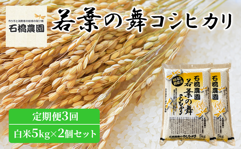 米 若葉の舞 コシヒカリ 白米5kg×2個セット 定期便3回 こしひかり セット 定期便 お米 白米 精米 千葉 千葉県 低温保存