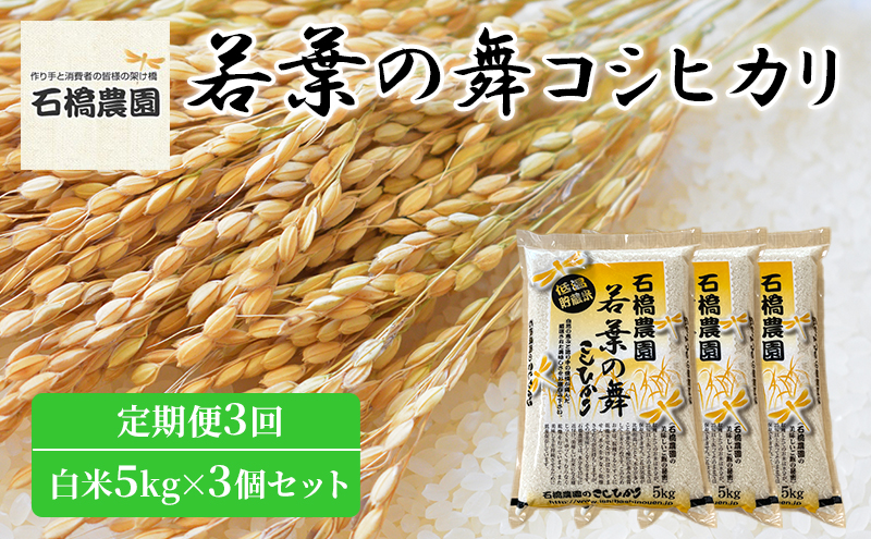 米 若葉の舞 コシヒカリ 白米5kg×3個セット 定期便3回 こしひかり セット 定期便 お米 白米 精米 千葉 千葉県 低温保存