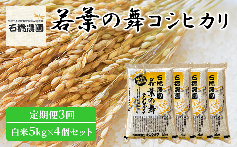 米 若葉の舞 コシヒカリ 白米5kg×4個セット 定期便3回 こしひかり セット 定期便 お米 白米 精米 千葉 千葉県 低温保存