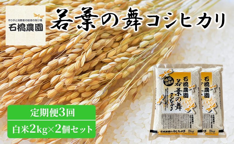 米 若葉の舞 コシヒカリ 白米2kg×2個セット 定期便3回 こしひかり セット 定期便 お米 白米 精米 千葉 千葉県 低温保存