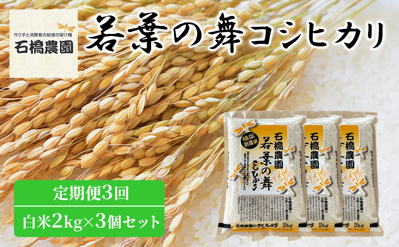 米 若葉の舞 コシヒカリ 白米2kg×3個セット 定期便3回 こしひかり セット 定期便 お米 白米 精米 千葉 千葉県 低温保存