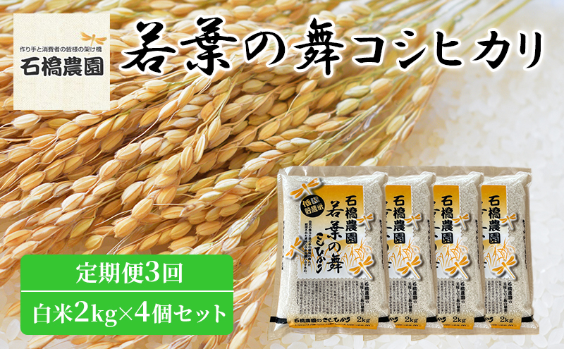 米 若葉の舞 コシヒカリ 白米2kg×4個セット 定期便3回 こしひかり セット 定期便 お米 白米 精米 千葉 千葉県 低温保存