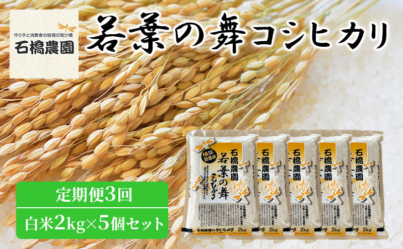 米 若葉の舞 コシヒカリ 白米2kg×5個セット 定期便3回 こしひかり セット 定期便 お米 白米 精米 千葉 千葉県 低温保存