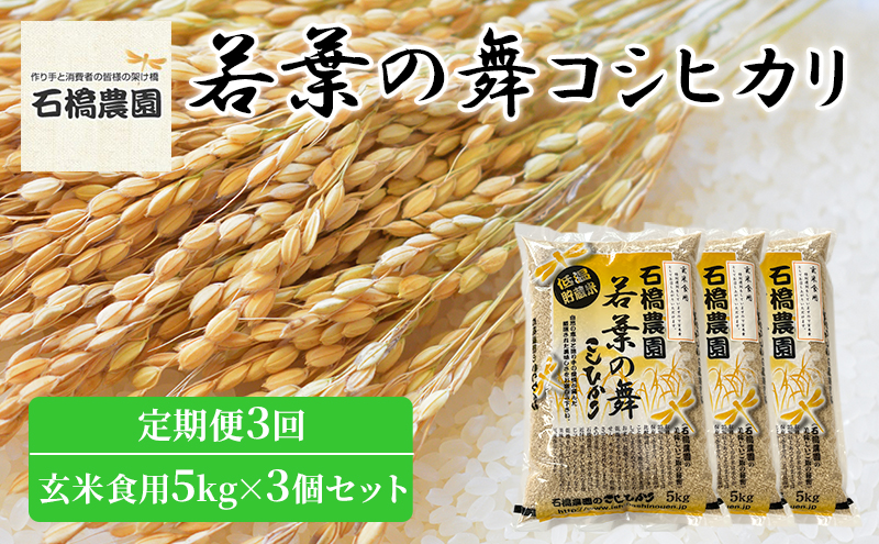 米 若葉の舞 コシヒカリ 玄米食用5kg×3個セット 定期便3回 こしひかり セット 定期便 お米 玄米 千葉 千葉県 低温保存