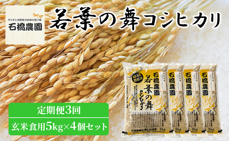 米 若葉の舞 コシヒカリ 玄米食用5kg×4個セット 定期便3回 こしひかり セット 定期便 お米 玄米 千葉 千葉県 低温保存