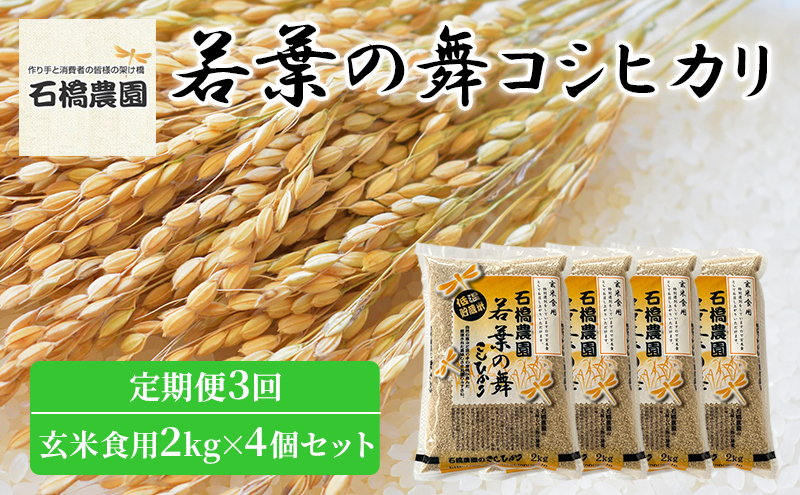 米 若葉の舞 コシヒカリ 玄米食用2kg×4個セット 定期便3回 こしひかり セット 定期便 お米 玄米 千葉 千葉県 低温保存