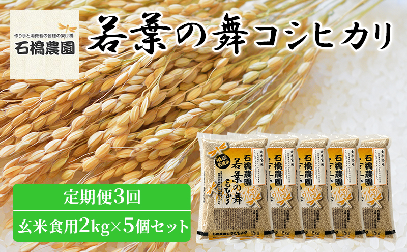 米 若葉の舞 コシヒカリ 玄米食用2kg×5個セット 定期便3回 こしひかり セット 定期便 お米 玄米 千葉 千葉県 低温保存