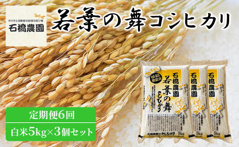 米 若葉の舞 コシヒカリ 白米5kg×3個セット 定期便6回 こしひかり セット 定期便 お米 白米 精米 千葉 千葉県 低温保存