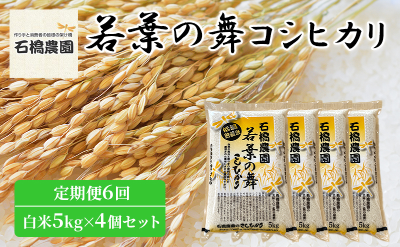 米 若葉の舞 コシヒカリ 白米5kg×4個セット 定期便6回 こしひかり セット 定期便 お米 白米 精米 千葉 千葉県 低温保存