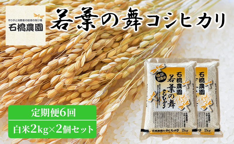 米 若葉の舞 コシヒカリ 白米2kg×2個セット 定期便6回 こしひかり セット 定期便 お米 白米 精米 千葉 千葉県 低温保存