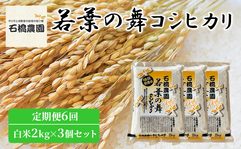 米 若葉の舞 コシヒカリ 白米2kg×3個セット 定期便6回 こしひかり セット 定期便 お米 白米 精米 千葉 千葉県 低温保存