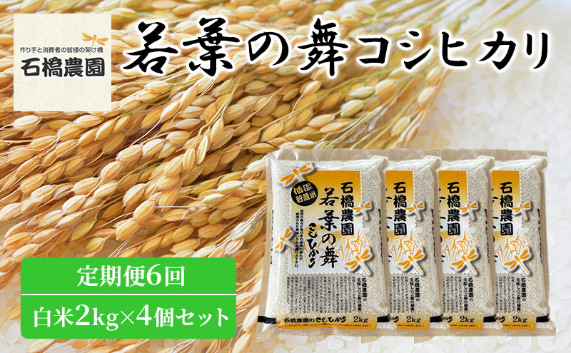 米 若葉の舞 コシヒカリ 白米2kg×4個セット 定期便6回 こしひかり セット 定期便 お米 白米 精米 千葉 千葉県 低温保存