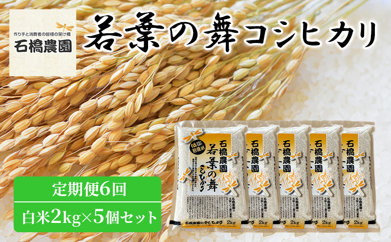 米 若葉の舞 コシヒカリ 白米2kg×5個セット 定期便6回 こしひかり セット 定期便 お米 白米 精米 千葉 千葉県 低温保存