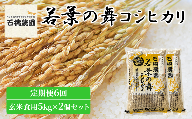 米 若葉の舞 コシヒカリ 玄米食用5kg×2個セット 定期便6回 こしひかり セット 定期便 お米 玄米 千葉 千葉県 低温保存