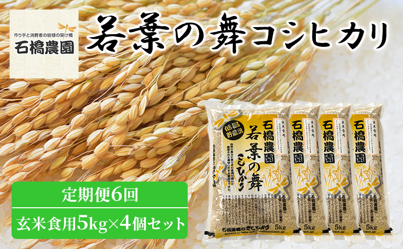 米 若葉の舞 コシヒカリ 玄米食用5kg×4個セット 定期便6回 こしひかり セット 定期便 お米 玄米 千葉 千葉県 低温保存