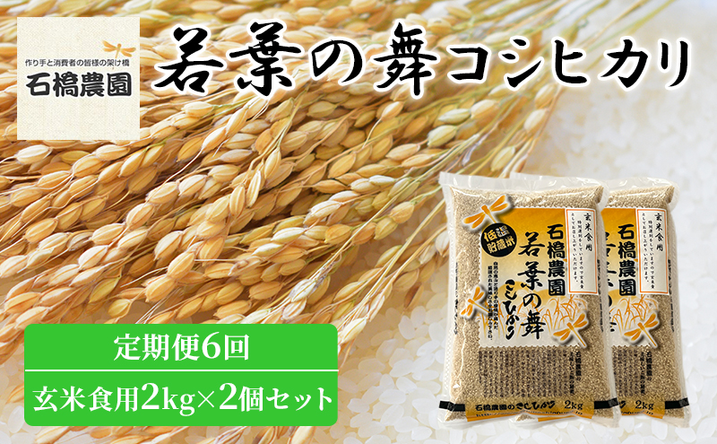 米 若葉の舞 コシヒカリ 玄米食用2kg×2個セット 定期便6回 こしひかり セット 定期便 お米 玄米 千葉 千葉県 低温保存