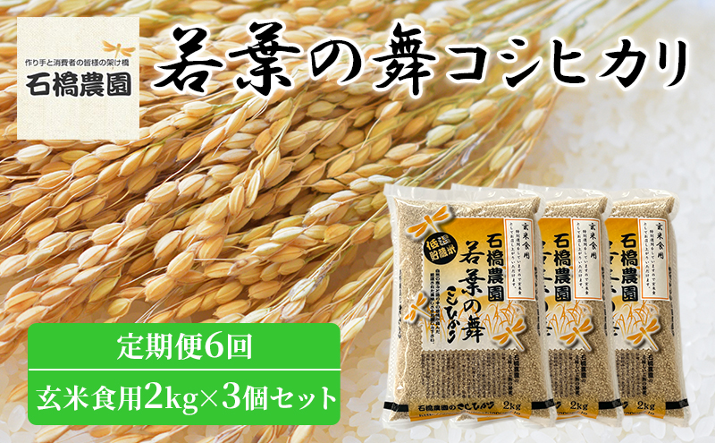 米 若葉の舞 コシヒカリ 玄米食用2kg×3個セット 定期便6回 こしひかり セット 定期便 お米 玄米 千葉 千葉県 低温保存